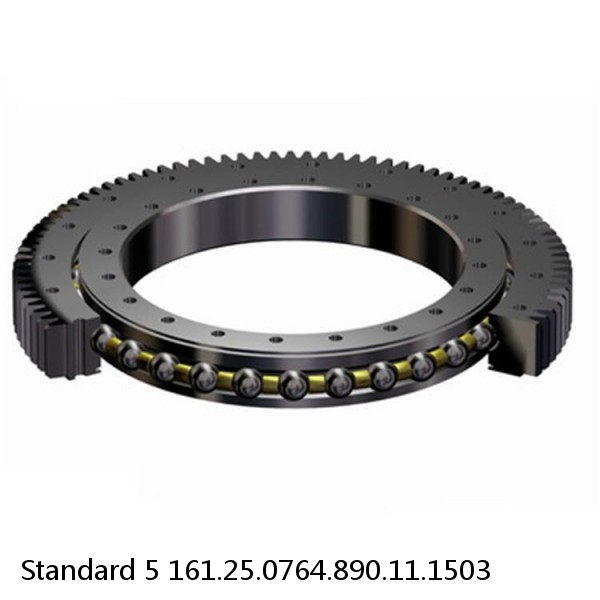 161.25.0764.890.11.1503 Standard 5 Slewing Ring Bearings