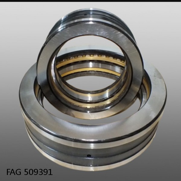 FAG 509391 DOUBLE ROW TAPERED THRUST ROLLER BEARINGS