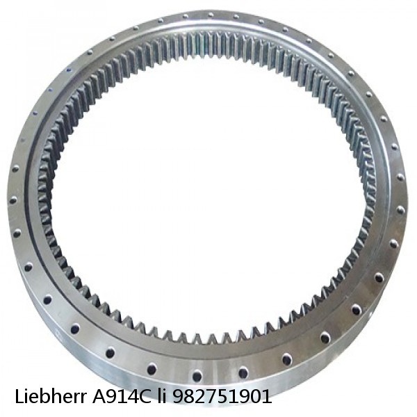 982751901 Liebherr A914C li Slewing Ring