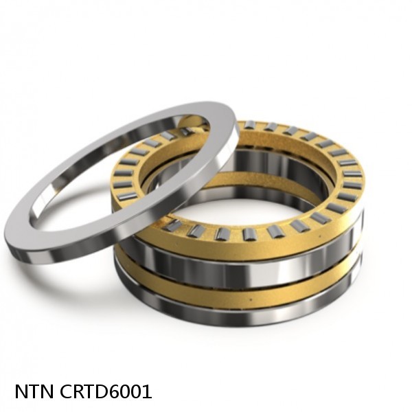 NTN CRTD6001 DOUBLE ROW TAPERED THRUST ROLLER BEARINGS