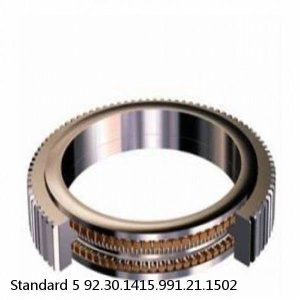 92.30.1415.991.21.1502 Standard 5 Slewing Ring Bearings