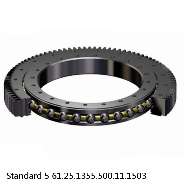 61.25.1355.500.11.1503 Standard 5 Slewing Ring Bearings