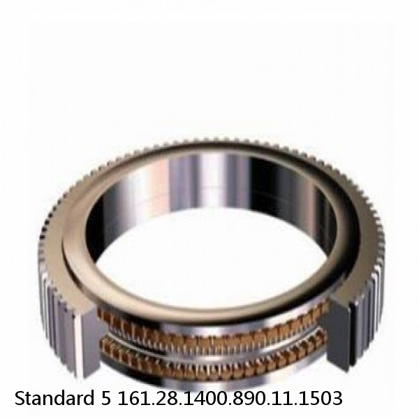 161.28.1400.890.11.1503 Standard 5 Slewing Ring Bearings