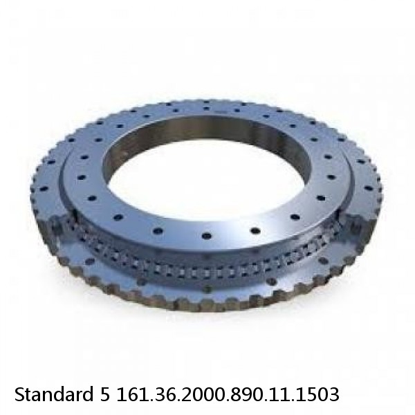 161.36.2000.890.11.1503 Standard 5 Slewing Ring Bearings