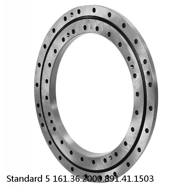 161.36.2000.891.41.1503 Standard 5 Slewing Ring Bearings