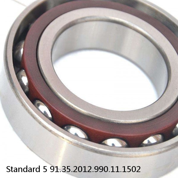 91.35.2012.990.11.1502 Standard 5 Slewing Ring Bearings