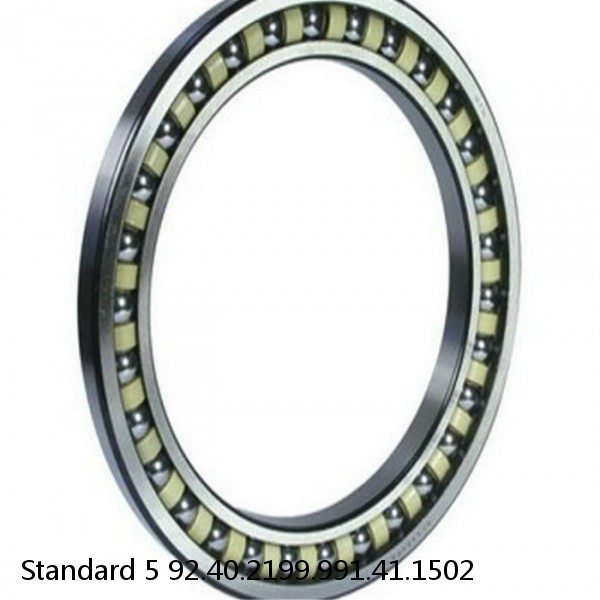 92.40.2199.991.41.1502 Standard 5 Slewing Ring Bearings