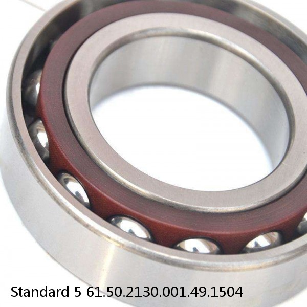 61.50.2130.001.49.1504 Standard 5 Slewing Ring Bearings