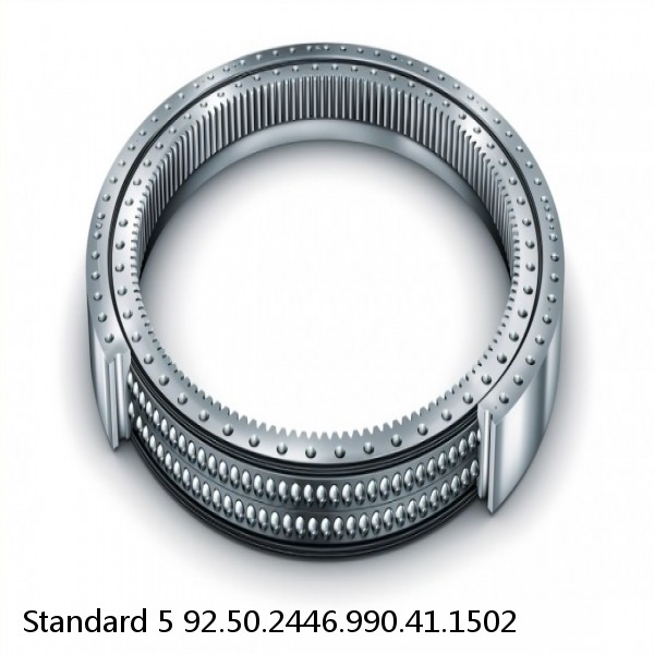 92.50.2446.990.41.1502 Standard 5 Slewing Ring Bearings