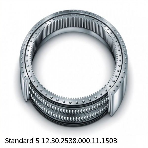 12.30.2538.000.11.1503 Standard 5 Slewing Ring Bearings