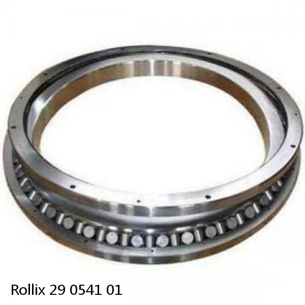 29 0541 01 Rollix Slewing Ring Bearings