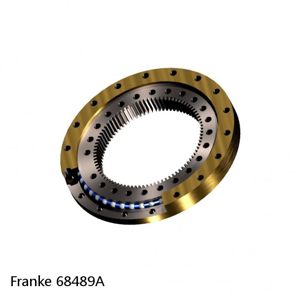 68489A Franke Slewing Ring Bearings